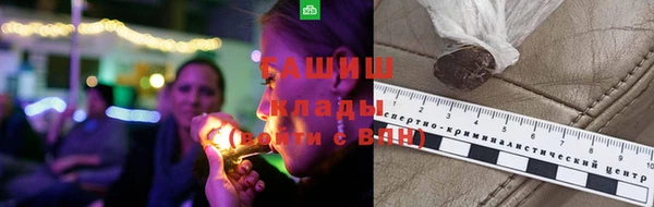 Альфа ПВП Няндома